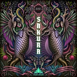 Мұқаба Cosmic Brahma - Refraction