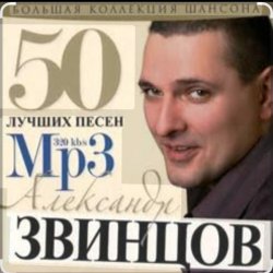 Мұқаба Александр Звинцов - Атаман