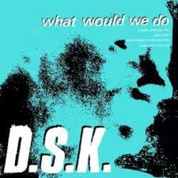 Мұқаба DSK - What Would We Do (Original Mix)