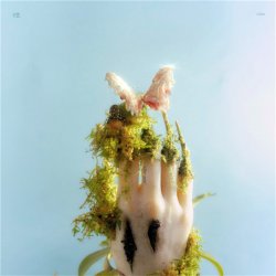 Мұқаба Liu Lian - Drop It High