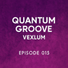 Мұқаба Vexlum - Quantum Groove 015 Vexlum - Quantum Groove 015