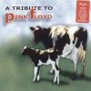 Мұқаба Tommy Shaw, Ritchie Kotzen, Tony Levin, Mike Beard - Money Tommy Shaw, Ritchie Kotzen, Tony Levin, Mike Beard - Money