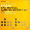 Мұқаба Matt Schwartz pres. Sholan - Can You Feel Matt Schwartz pres. Sholan - Can You Feel