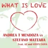 Мұқаба Andrea T Mendoza vs. Stefano Mattara feat. AJ - What Is Love (Radio Edit) Andrea T Mendoza vs. Stefano Mattara feat. AJ - What Is Love (Radio Edit)