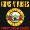 Мұқаба Guns N' Roses - Sweet Child O' Mine (Volture & Luigi Neighbours Hardstyle Remix) Guns N' Roses - Sweet Child O' Mine (Volture & Luigi Neighbours Hardstyle Remix)
