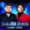 Мұқаба Ласкавий Травень - Cильно Кохав (IGOR MATUS Remix) Ласкавий Травень - Cильно Кохав (IGOR MATUS Remix)