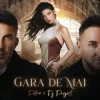 Мұқаба Petra & DJ Project - Gara de mai Petra & DJ Project - Gara de mai