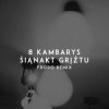 Мұқаба 8 Kambarys - Šiąnakt Grįžtu (Froro Remix) 8 Kambarys - Šiąnakt Grįžtu (Froro Remix)