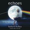 Мұқаба Echoes - Shine on you crazy diamond Echoes - Shine on you crazy diamond
