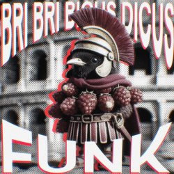 Мұқаба DJ Rio, Oxyzenk, Pxlterror Funk - Bri Bri Bicus Dicus Funk