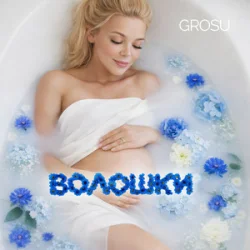 Мұқаба GROSU - Волошки (KARMV REMIX)