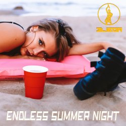 Мұқаба Endless Summer Night