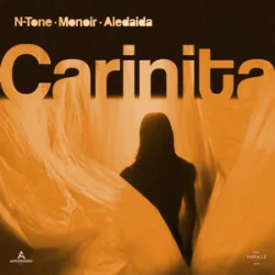 Мұқаба N-Tone & Monoir & Aledaida - Carinita