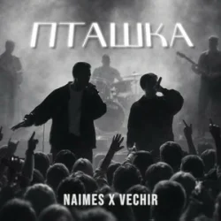 Мұқаба NAIMES & VECHIR - пташка (KARMV REMIX)