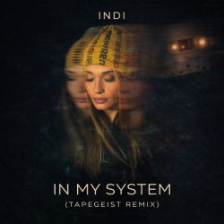 Мұқаба INDI - In My System