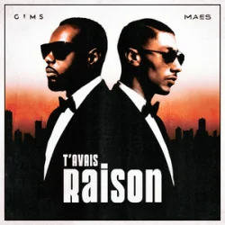 Мұқаба GIMS & Maes - T'avais raison
