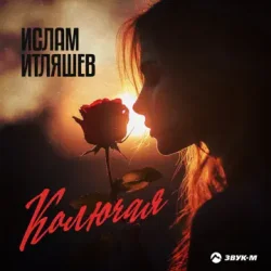 Мұқаба Ислам Итляшев - Колючая