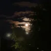 Мұқаба ALEKCION - Ніч кохання ALEKCION - Ніч кохання