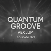 Мұқаба Vexlum - Quantum Groove 021 Vexlum - Quantum Groove 021
