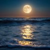 Мұқаба ОДМ - Moonlit Waves ОДМ - Moonlit Waves