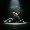 Мұқаба DNK - Winston DNK - Winston
