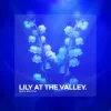 Мұқаба Boris Brejcha - Lily At The Valley Boris Brejcha - Lily At The Valley