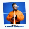 Мұқаба Shnaps - Danсing shadows Shnaps - Danсing shadows