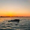 Мұқаба Disclosure - The Sun Comes Up Tremendous Disclosure - The Sun Comes Up Tremendous