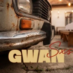 Мұқаба SxS - GWAN