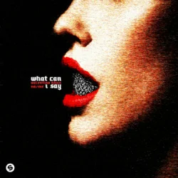 Мұқаба Valentino Khan & No/Me - What Can I Say