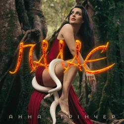 Мұқаба Анна Трінчер - Палає (KARMV REMIX)