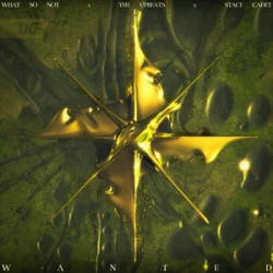 Мұқаба What So Not & The Upbeats - Wanted