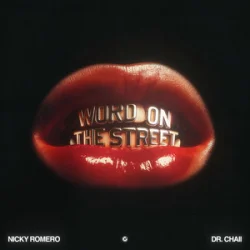 Мұқаба Nicky Romero & Dr. Chaii - Word On The Street