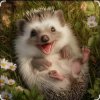 Portada Настоящий Мужчина - Эй с*чка ты колючая колючка Настоящий Мужчина - Эй с*чка ты колючая колючка