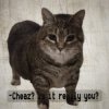 封面 DJ Cheaz - Effector DJ Cheaz - Effector