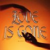 Pochette Black Station - Love Is Gone Black Station - Love Is Gone
