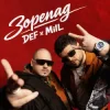 Мұқаба MilL & DEF - ЗОРЕПАД MilL & DEF - ЗОРЕПАД