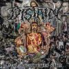 Мұқаба Distain - Roaming Embers Distain - Roaming Embers