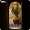 Мұқаба DNDM - Real Love DNDM - Real Love