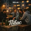 Мұқаба MELIN - Півас MELIN - Півас