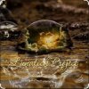Мұқаба Lunatick Project - When You Can Not Sleep Lunatick Project - When You Can Not Sleep