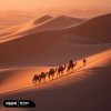 封面 DEMER - My Pace DEMER - My Pace