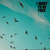 Мұқаба Roberto Pedoto - I Want To Be Free Roberto Pedoto - I Want To Be Free