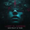 Portada Sam Feldt & TAME - Lost In Desire Sam Feldt & TAME - Lost In Desire