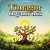 Pochette Timagor - Organic mix16