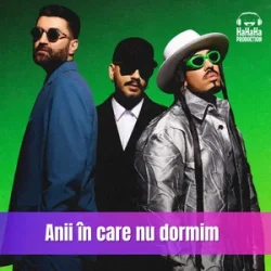Мұқаба Smiley & Alex Velea & Connect-R. - Anii in care nu dormim (Speak Remix)