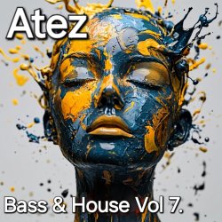 Мұқаба Bass House Vol7.