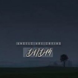 Мұқаба DNDM - Angels Are Crying