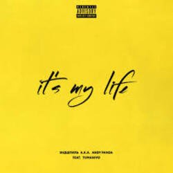 Мұқаба Эндшпиль feat. TumaniYO - It's My Life