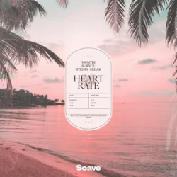 Мұқаба Montri & Survol - Heart Rate (feat. Stefan Celar)